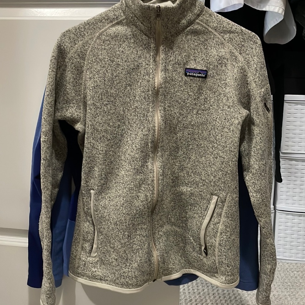Patagonia Women's Gray Ski Jacket